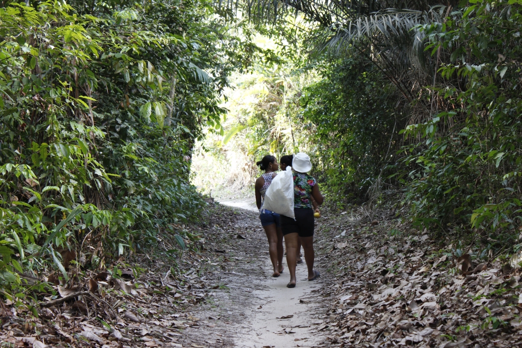 Kleinbäuerinnen in Pará auf dem Weg zu ihren Feldern Foto: ASW e.V.